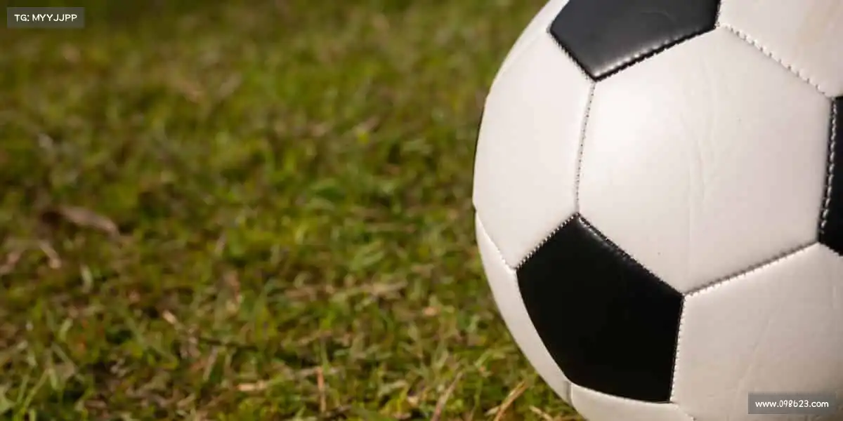 15vip太阳集团——用汗水浇灌热爱，以坚持成就精彩！🏋️‍♀️